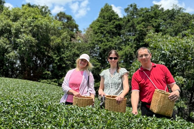 Half Day Nara and Matcha Farm Private Van Tour - Accessibility Information