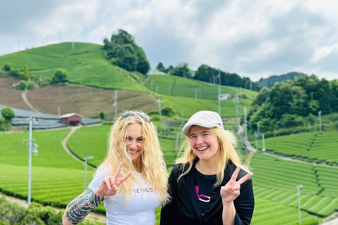 Half Day Nara and Matcha Farm Private Van Tour - Pricing and Booking