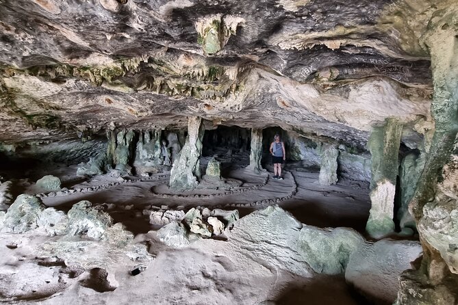 Half Day National Park Safari Tour and Baby Beach - Tour Experience and Highlights