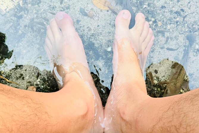 Half Day National Park Safari Tour and Baby Beach - Traveler Feedback and Recommendations