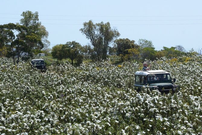 Half-Day Nature Safari in the Algarve - Key points / Takeaways