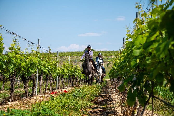 Half-Day of Horseback Adventure with Wine Tasting - Key points / Takeaways
