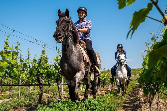 Half-Day of Horseback Adventure with Wine Tasting - Practical Tips for Travelers