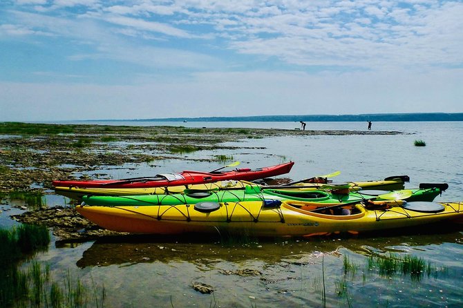 Half-Day Orleans Island Small-Group Sea Kayaking Tour - Meeting and Pickup Details