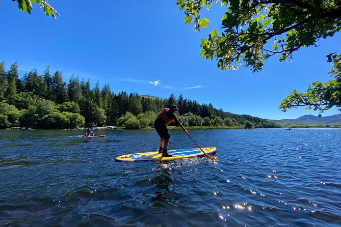 Half day Paddleboarding exploration on the Dart - Key Points / Takeaways