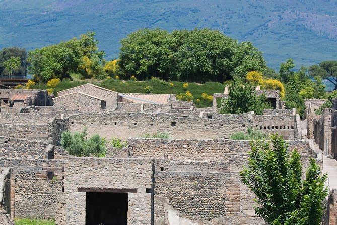 Half Day Pompeii Sightseeing Tour From Sorrento - Pompeiis Famous Sites