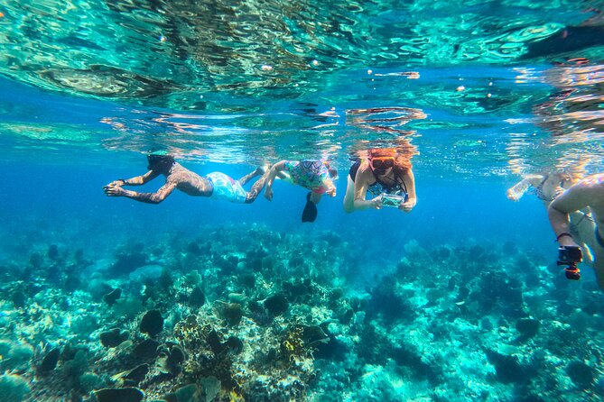 Half Day Private Boat Charter at Grace Bay, Providenciales - Full-Day Cruise Highlights