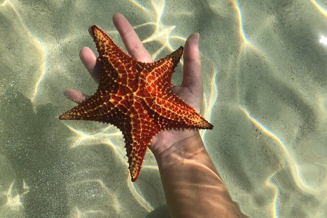 Half Day Private Boat Charter in Grand Cayman - Exploring the Island by Boat