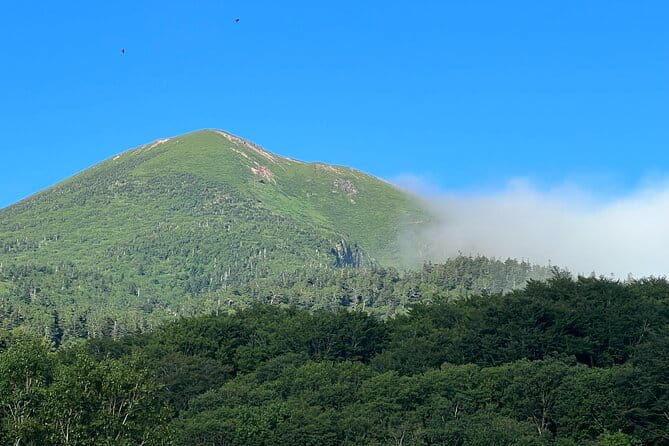 Half-Day Private Guided Japanese Hot Spring Experience - Transportation Options for Your Visit