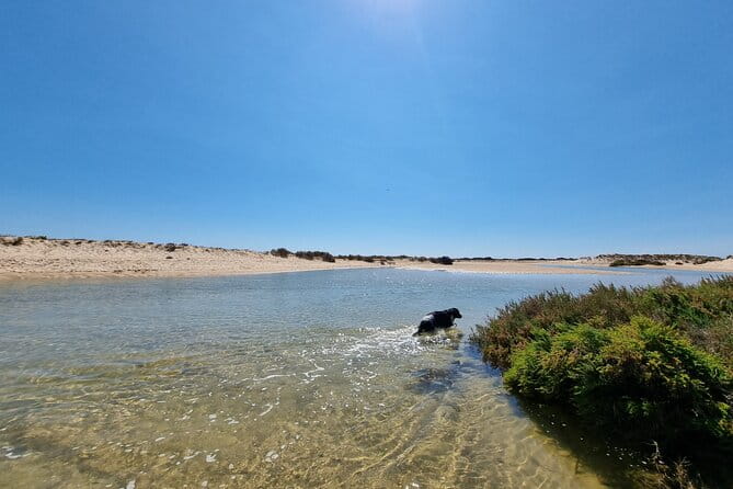 Half-Day Private Guided Kayak Island Tour - Final Thoughts
