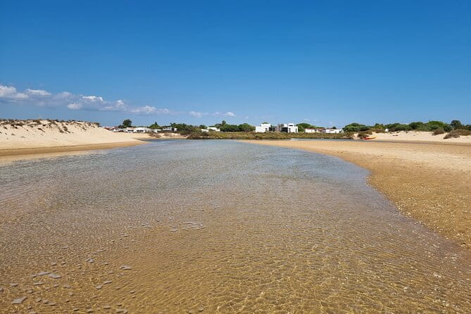 Half-Day Private Guided Kayak Island Tour - FAQ