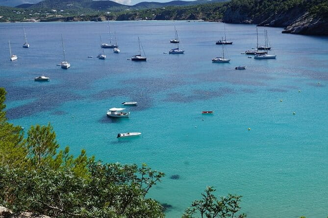 Half-Day Private Swimming Cruise along the Athenian Riviera - Suitability and Who Will Love This