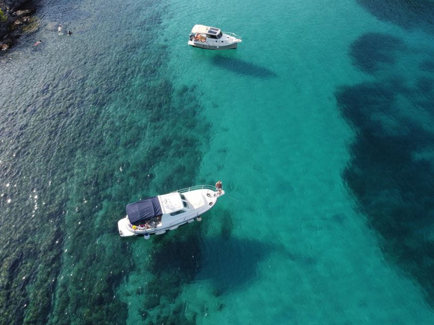 Half Day Private Tour of the Islands Around Zadar - Tour Guide Experience