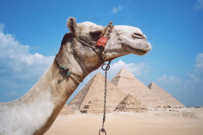 Half-Day Private Tour to Pyramids of Giza and Sphinx - Visiting the Sphinx