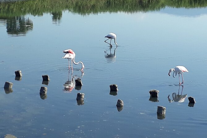 Half-Day Private Trip From Cagliari to Barumini in Su Nuraxi - Highlights of the Trip