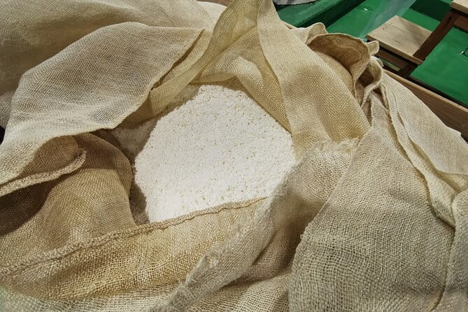 Half-Day Saijo Tour Sake Tasting and Brewery Tour in Hiroshima - Traveler Reviews and Feedback