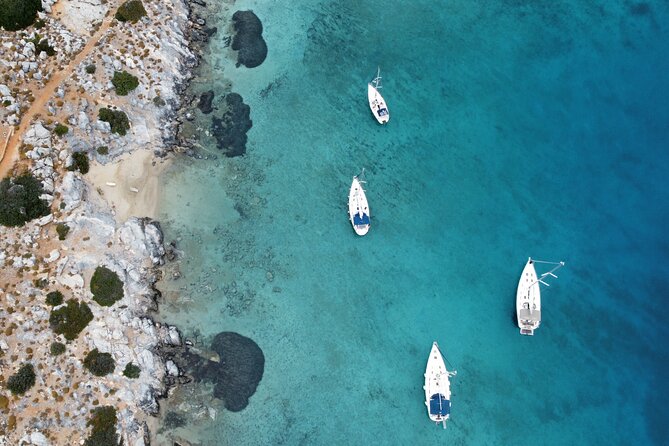 Half-Day Sailing Trips to Dia Island - Additional Details