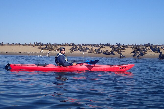 Half-Day Seal Kayak Adventure at Pelican Point in Walvis Bay - Exploring the Protected Wetlands