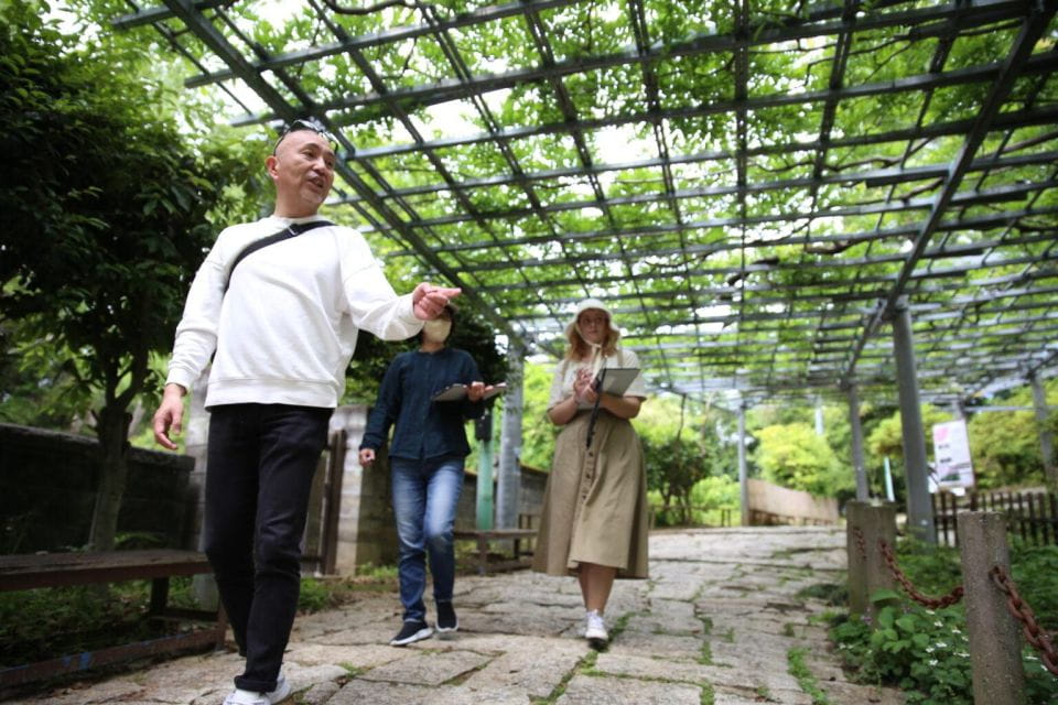 Half-Day Shared Tour at Kurashiki With Local Guide - Guided Exploration