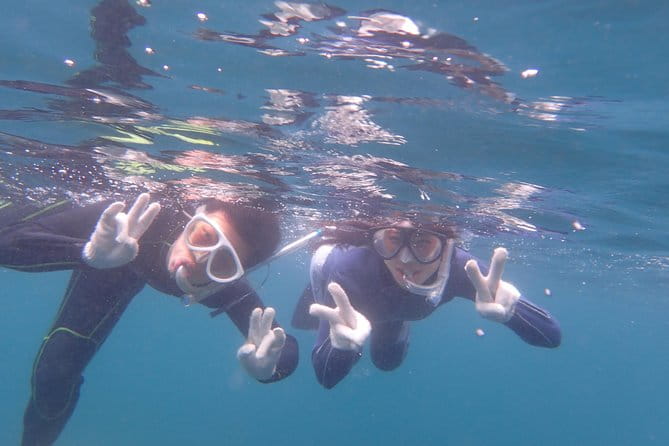 Half-Day Snorkeling Course Relieved at the Beginning Even in the Sea of Izu, Veteran Instructors Will Teach Kindly - Health and Safety Restrictions