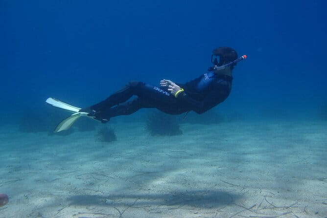 Half Day Snorkelling Experience with a dive boat in Kos Greece - Who Will Love This Experience?
