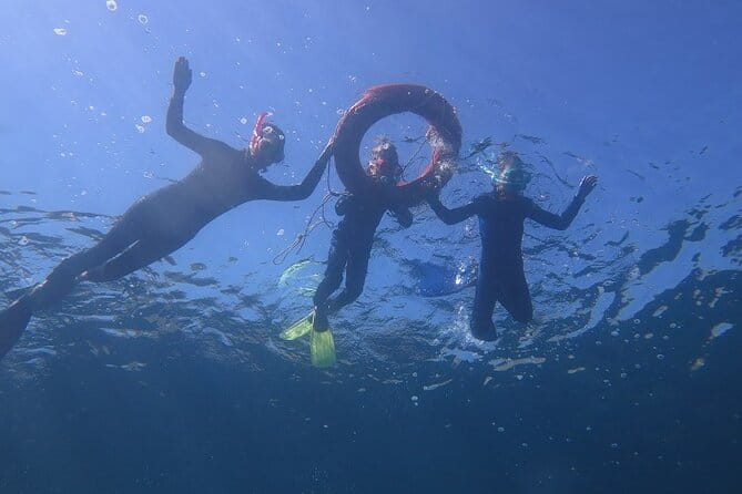 Half Day Snorkelling Experience with a dive boat in Kos Greece - Frequently Asked Questions