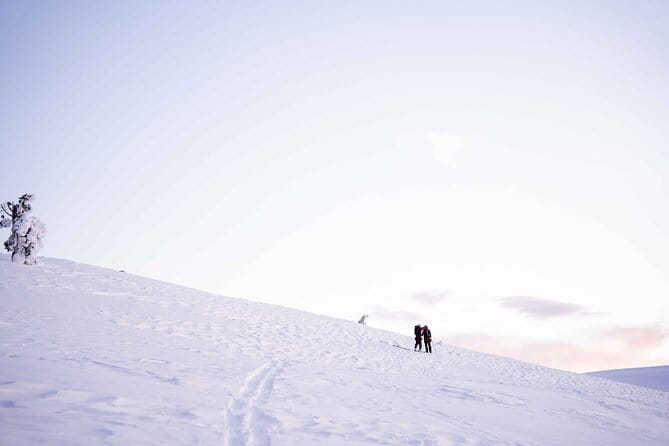 Half Day Snowshoe Hiking Adventure in Levi Lapland - Cost & Value