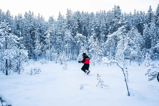 Half Day Snowshoe Hiking Adventure in Levi Lapland - Who Would Enjoy This Tour?