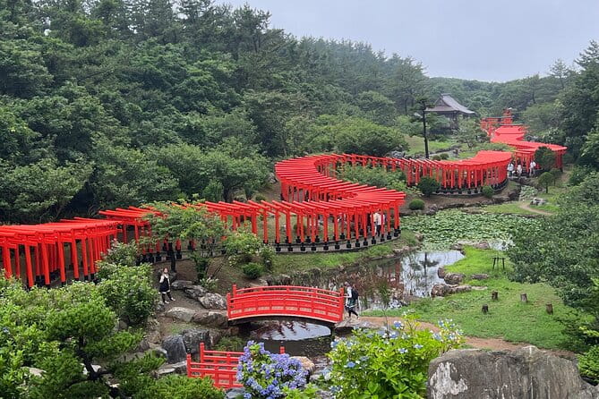 Half Day Takayama Inari Shrine Tour With Licensed Guide - Visitor Reviews and Feedback
