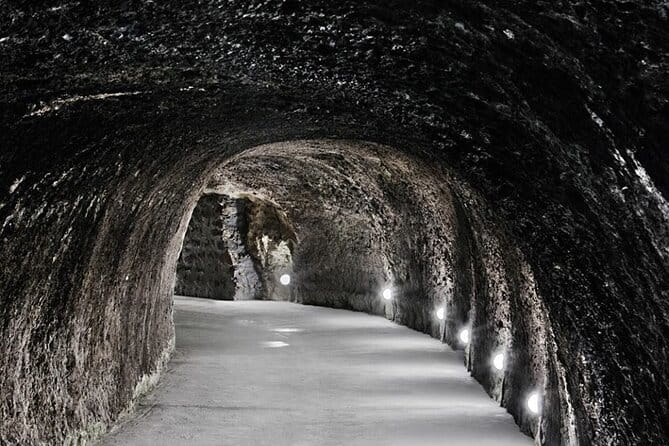 Half Day Tokaj Wine Tasting Tour in Mád Hungary with lunch - Price and Overall Value