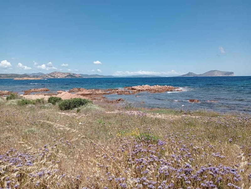 Half-day tour by dinghy in the Tavolara Marine Protected Area - An In-depth Look at the Tavolara Dinghy Experience