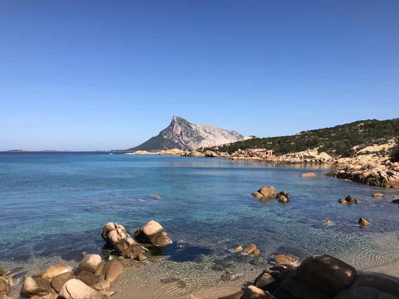 Half-day tour by dinghy in the Tavolara Marine Protected Area - The Sum Up