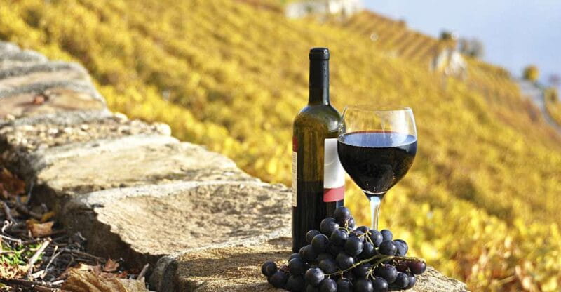 Half-Day Tour from Florence: Chianti Colors & Flavors - Key Points / Takeaways