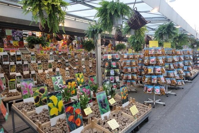 Half-Day Tour of Red Light District and Jordaan District with Private Guide in Amsterdam - Exploring Amsterdam’s Neighborhoods in Depth