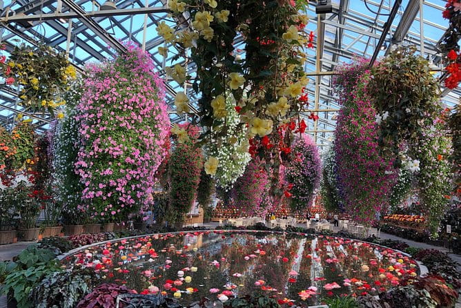 Half-Day Tour to Enjoy Japans Largest Illumination and Outlet - Navigating Accessibility and Pickup Options