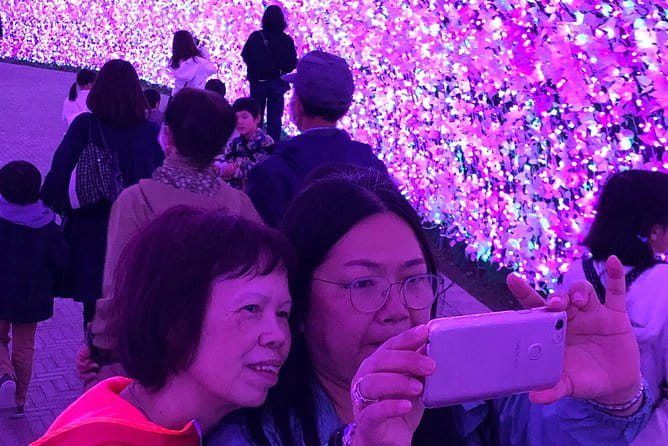 Half-Day Tour to Enjoy Japans Largest Illumination and Outlet - Indulging in Dinner and Shopping Opportunities