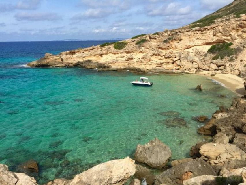 Half-Day Trip to Palma Bay - Boat Options