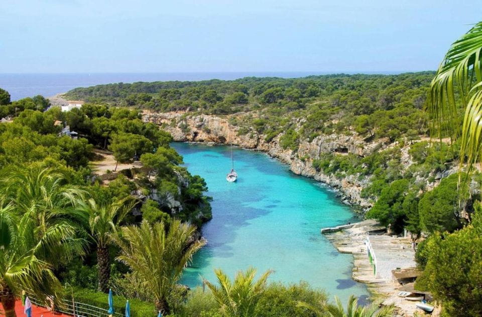 Half-Day Trip to Palma Bay - Tour Highlights