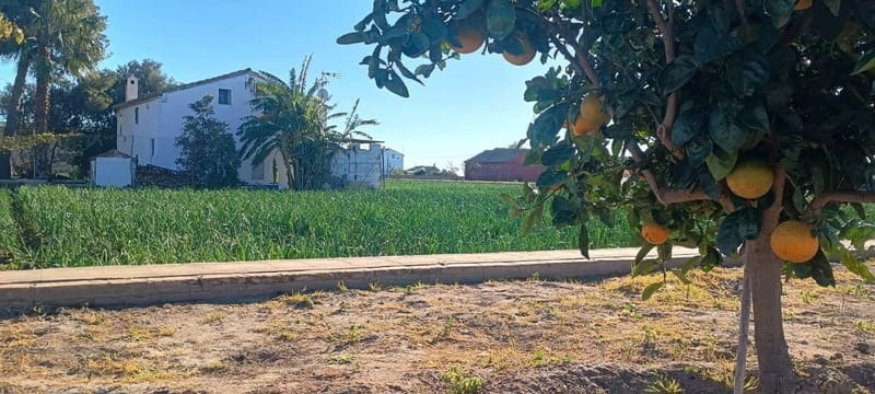 Half Day Valencia Foodie Cycling Tour - FAQ