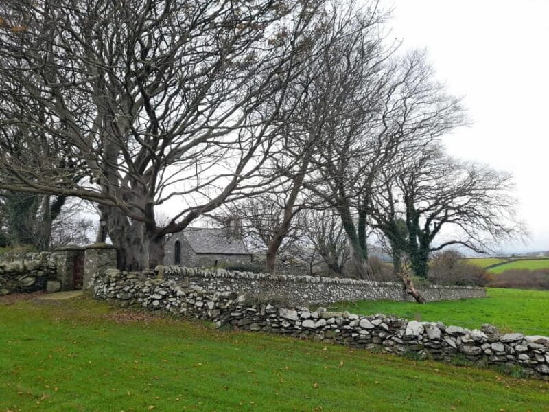 Half Day Viking and Celtic Heritage Tour - Price and Overall Value