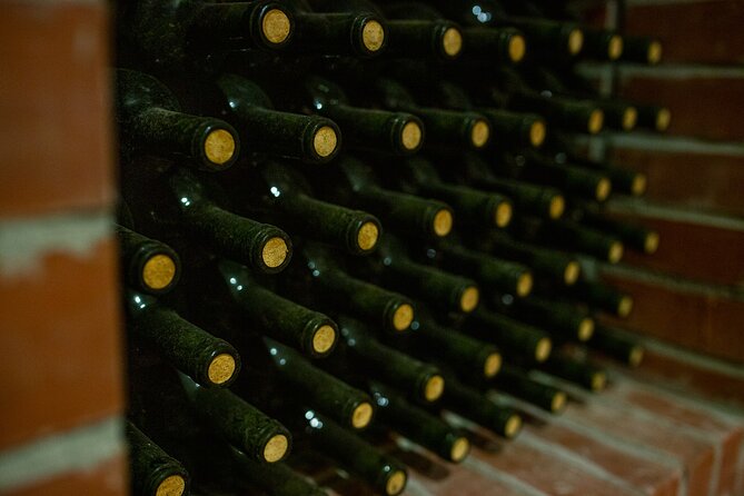 Half Day Wine Tasting With Dinner in Kos - Cancellation Policy