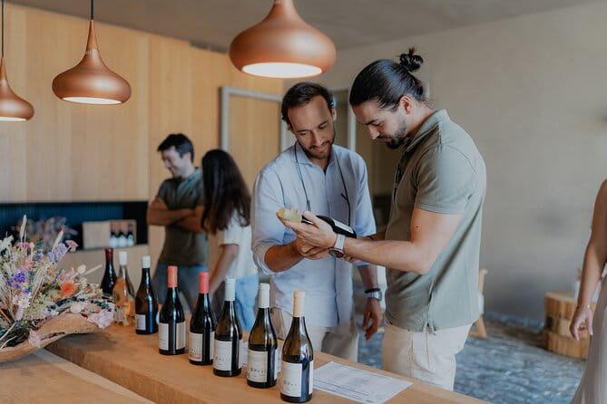 Half Day Wine Tour Around Evora - Introducing the Half Day Wine Tour Around Évora