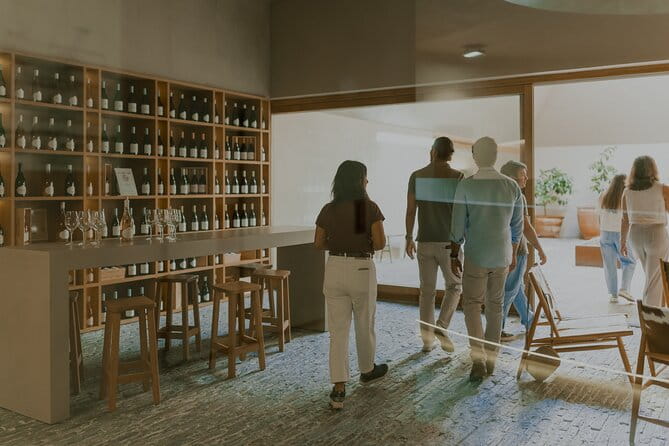 Half Day Wine Tour Around Evora - Who Is This Tour Best For?