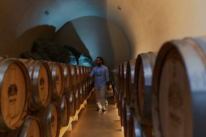 Half Day Wine Tour Around Evora - Authentic Experiences and Unique Highlights