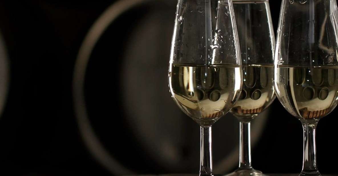 Half-Day Wine Tour in Andalusia - Explore Traditional Wineries and Cognac Producers