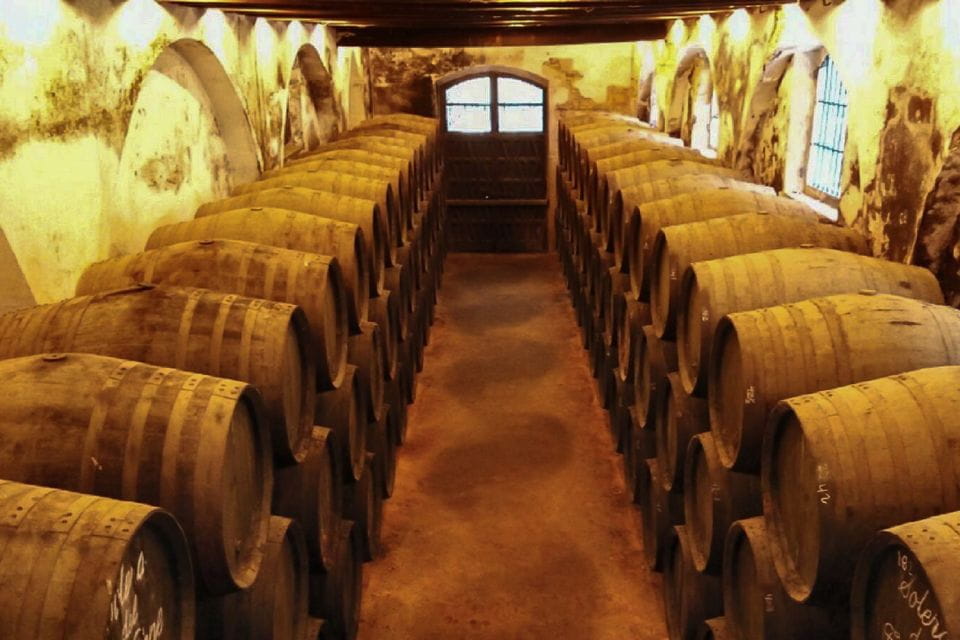 Half-Day Wine Tour in Andalusia - Taste Local Andalusian Wines