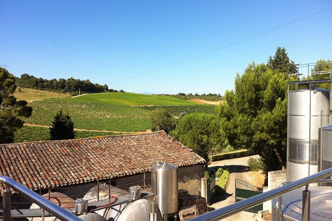 Half day wine tour. Private tour from Carcassonne and around. - A Taste of Languedoc: Private Half-Day Wine Tour from Carcassonne