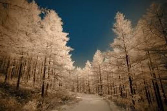 Half Day Winter Ski Adventure in Sapporo - Meeting and End Point