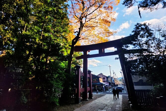 Half Day Yahiko E-Tuktuk Rentals - Cancellation and Late Arrival Policies