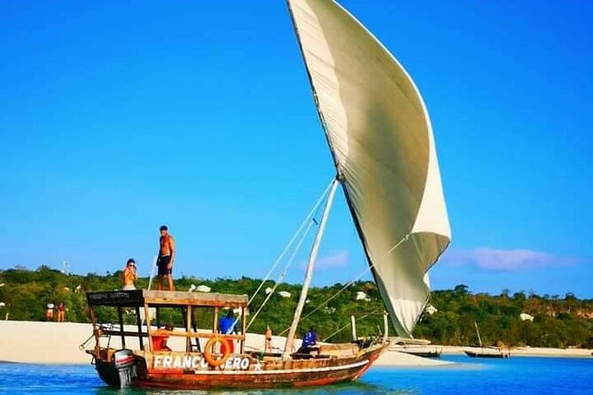 Half Day Zanzibar Mnemba Atoll Marine Reserve Snorkeling Tour - Traveler Requirements and Conditions